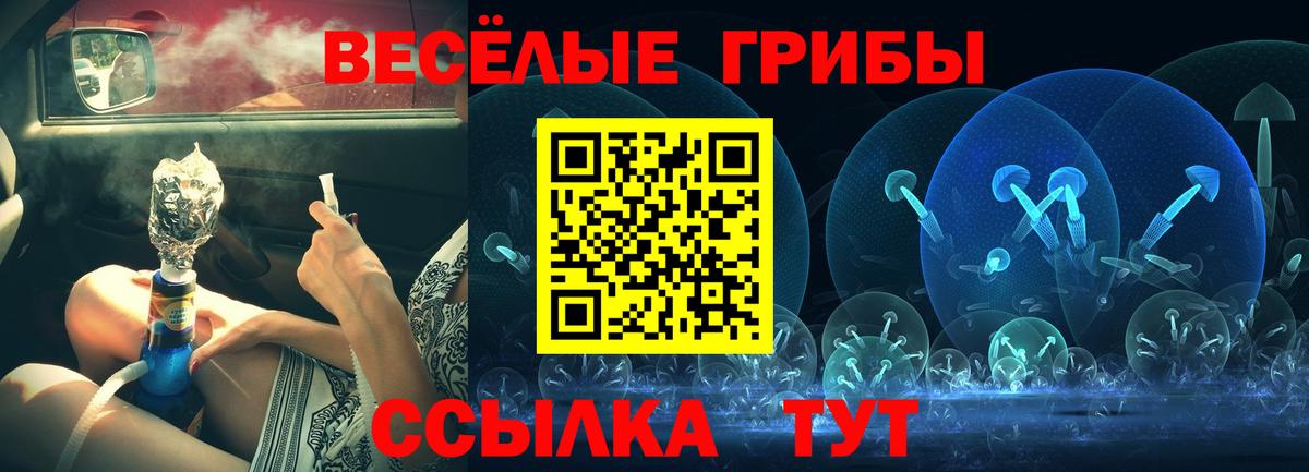 Псилоцибиновые грибы GOLDEN TEACHER  Вход с VPN  Рассказово 